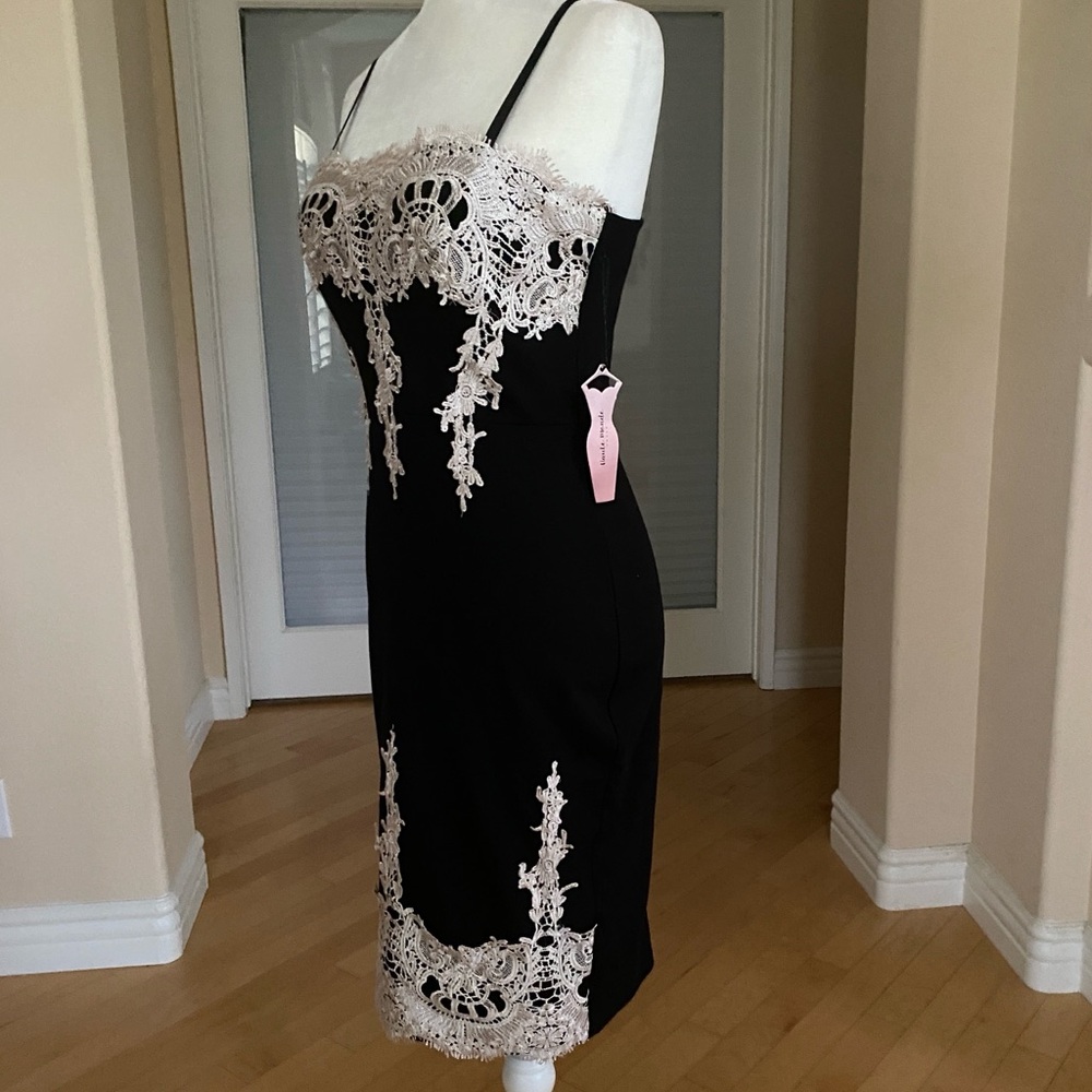 NWT Haute Monde Black and Cream Lace Midi Dress
